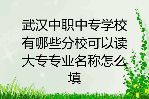 武汉中职中专学校有哪些分校可以读大专专业名称怎么填