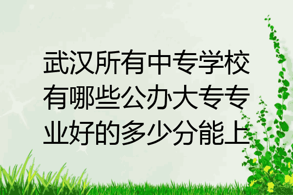武汉所有中专学校有哪些公办大专专业好的多少分能上