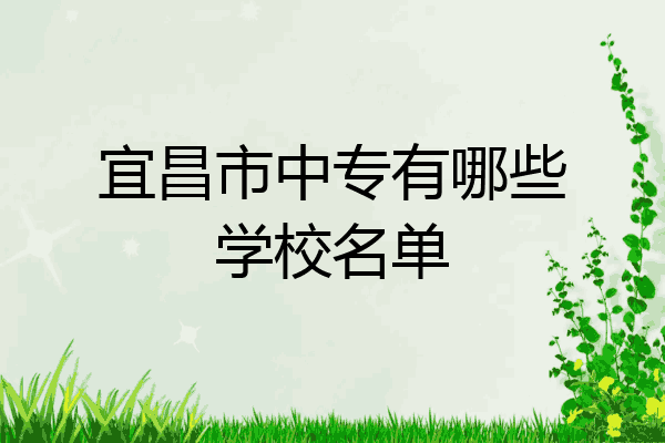 宜昌市中专有哪些学校名单