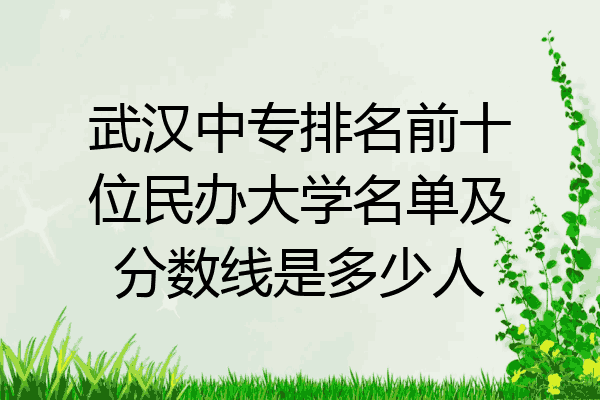 武汉中专排名前十位民办大学名单及分数线是多少人