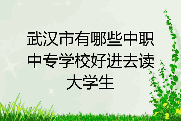 武汉市有哪些中职中专学校好进去读大学生