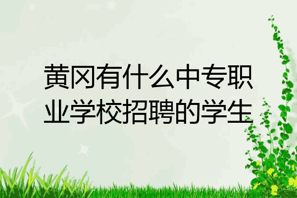 黄冈有什么中专职业学校招聘的学生