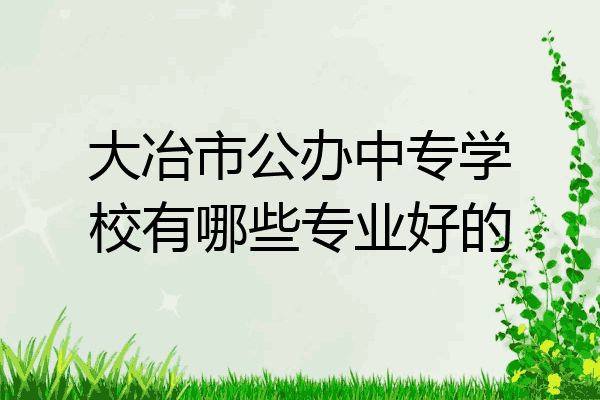 大冶市公办中专学校有哪些专业好的