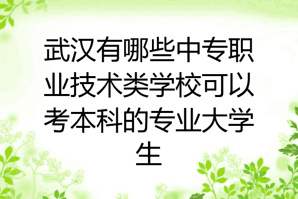 武汉有哪些中专职业技术类学校可以考本科的专业大学生