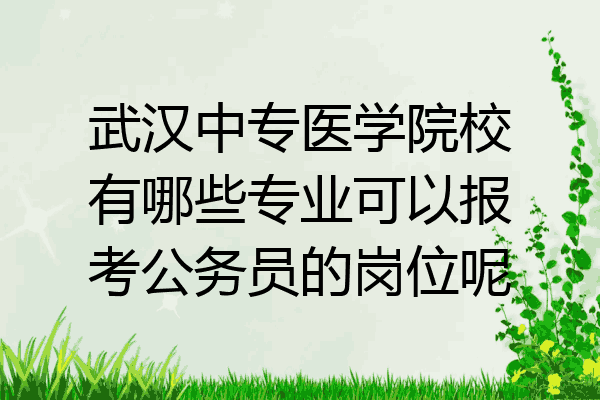 武汉中专医学院校有哪些专业可以报考公务员的岗位呢