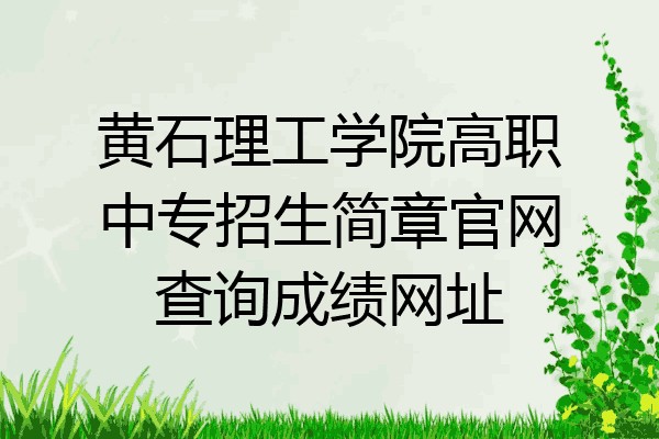 黄石理工学院高职中专招生简章官网查询成绩网址