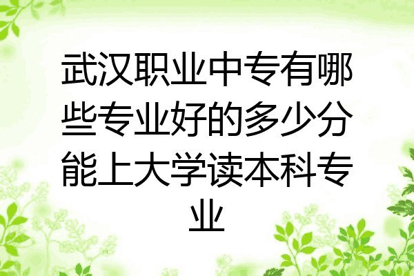 武汉职业中专有哪些专业好的多少分能上大学读本科专业