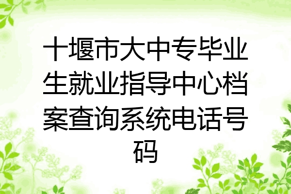 十堰市大中专毕业生就业指导中心档案查询系统电话号码