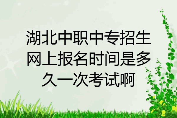 湖北中职中专招生网上报名时间是多久一次考试啊