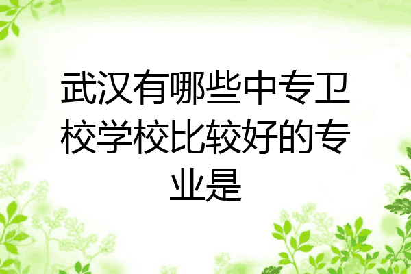 武汉有哪些中专卫校学校比较好的专业是