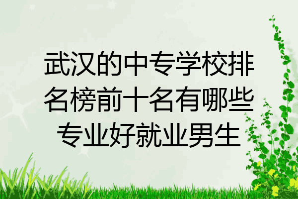 武汉的中专学校排名榜前十名有哪些专业好就业男生