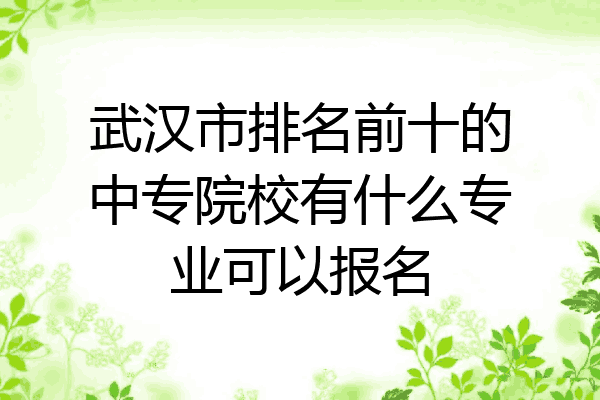 武汉市排名前十的中专院校有什么专业可以报名