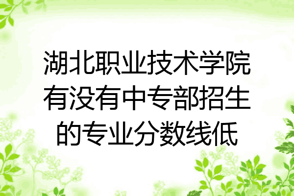 湖北职业技术学院有没有中专部招生的专业分数线低