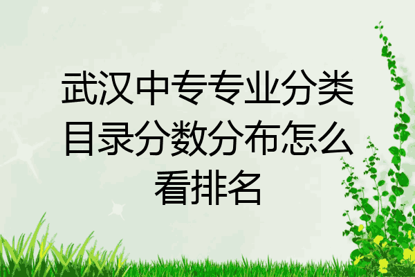 武汉中专专业分类目录分数分布怎么看排名