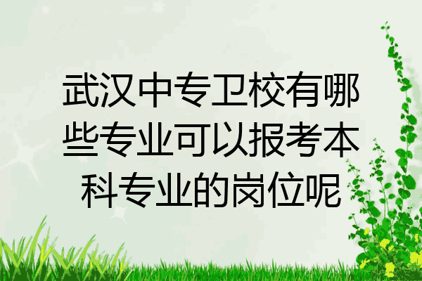 武汉中专卫校有哪些专业可以报考本科专业的岗位呢