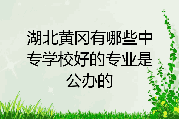 湖北黄冈有哪些中专学校好的专业是公办的