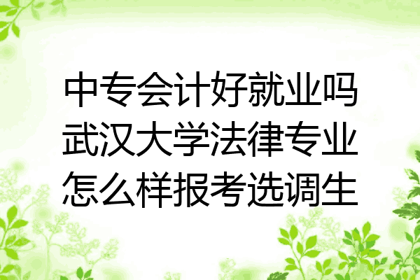 中专会计好就业吗武汉大学法律专业怎么样报考选调生