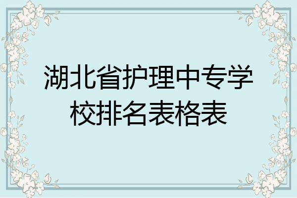 湖北省护理中专学校排名表格表
