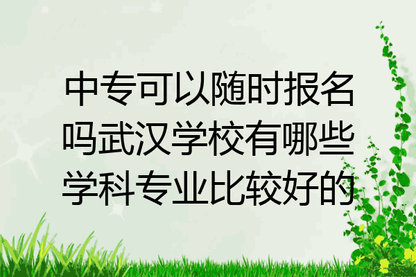 中专可以随时报名吗武汉学校有哪些学科专业比较好的