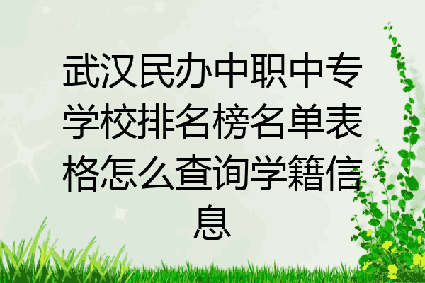 武汉民办中职中专学校排名榜名单表格怎么查询学籍信息