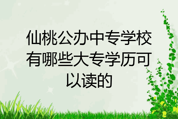仙桃公办中专学校有哪些大专学历可以读的