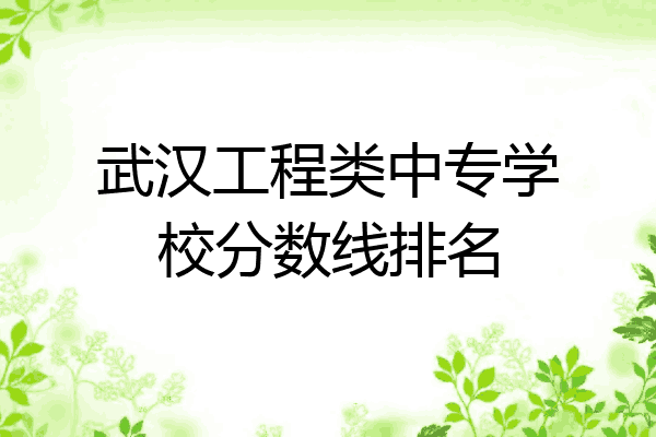 武汉工程类中专学校分数线排名