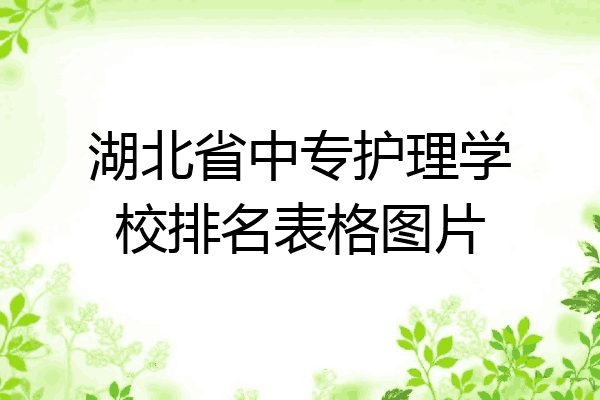 湖北省中专护理学校排名表格图片