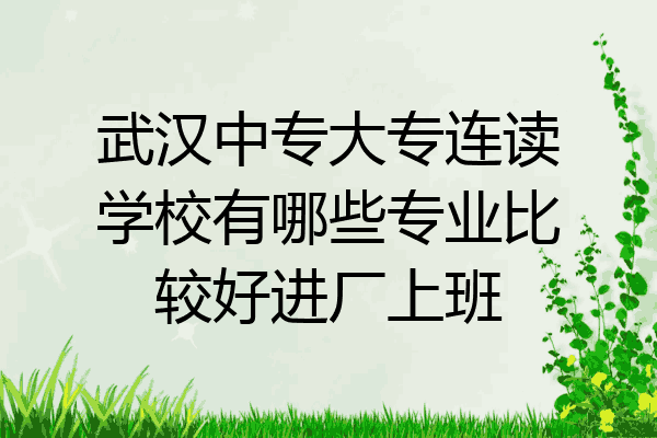 武汉中专大专连读学校有哪些专业比较好进厂上班