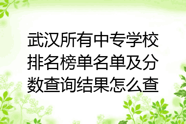 武汉所有中专学校排名榜单名单及分数查询结果怎么查