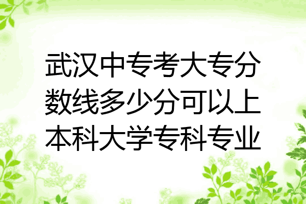 武汉中专考大专分数线多少分可以上本科大学专科专业