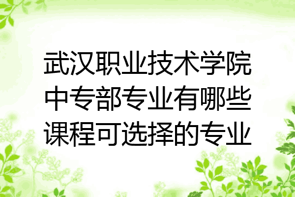 武汉职业技术学院中专部专业有哪些课程可选择的专业