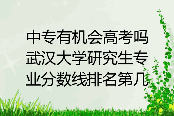 中专有机会高考吗武汉大学研究生专业分数线排名第几