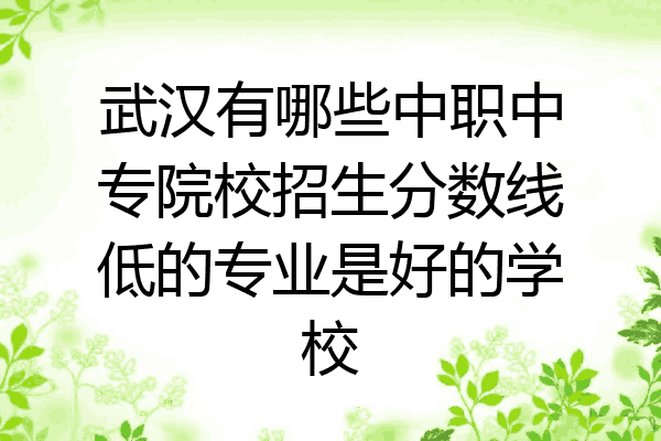 武汉有哪些中职中专院校招生分数线低的专业是好的学校