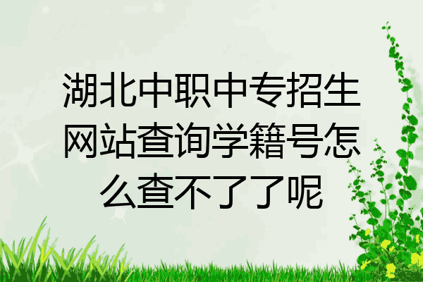 湖北中职中专招生网站查询学籍号怎么查不了了呢
