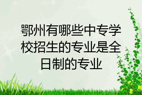 鄂州有哪些中专学校招生的专业是全日制的专业