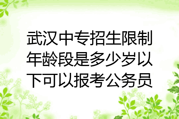 武汉中专招生限制年龄段是多少岁以下可以报考公务员