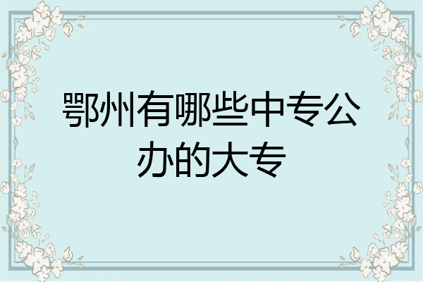鄂州有哪些中专公办的大专