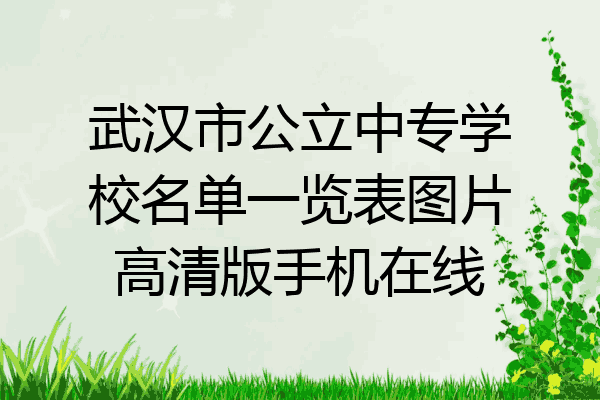 武汉市公立中专学校名单一览表图片高清版手机在线
