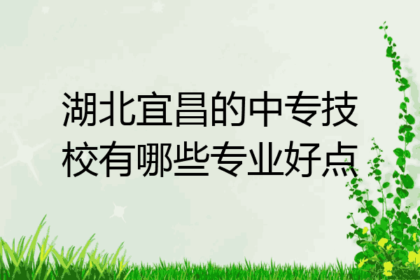 湖北宜昌的中专技校有哪些专业好点