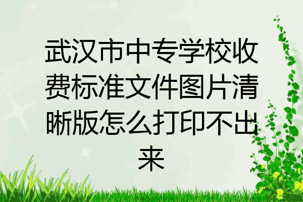 武汉市中专学校收费标准文件图片清晰版怎么打印不出来