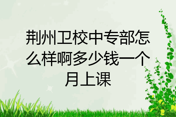 荆州卫校中专部怎么样啊多少钱一个月上课