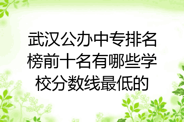 武汉公办中专排名榜前十名有哪些学校分数线最低的