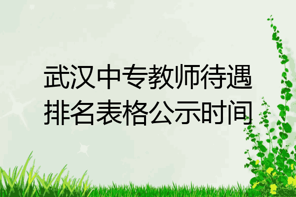 武汉中专教师待遇排名表格公示时间