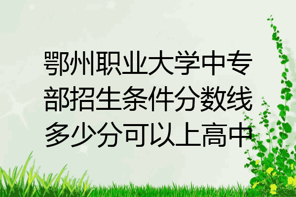 鄂州职业大学中专部招生条件分数线多少分可以上高中