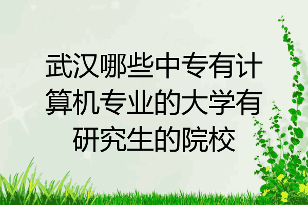 武汉哪些中专有计算机专业的大学有研究生的院校