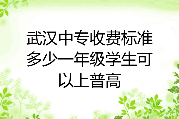 武汉中专收费标准多少一年级学生可以上普高