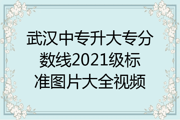武汉中专升大专分数线2021级标准图片大全视频