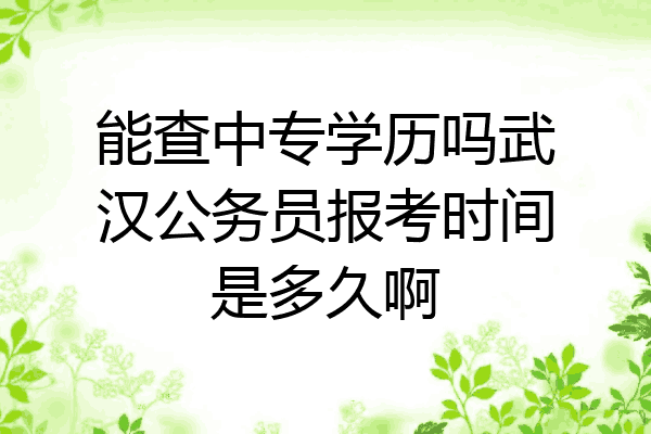 能查中专学历吗武汉公务员报考时间是多久啊