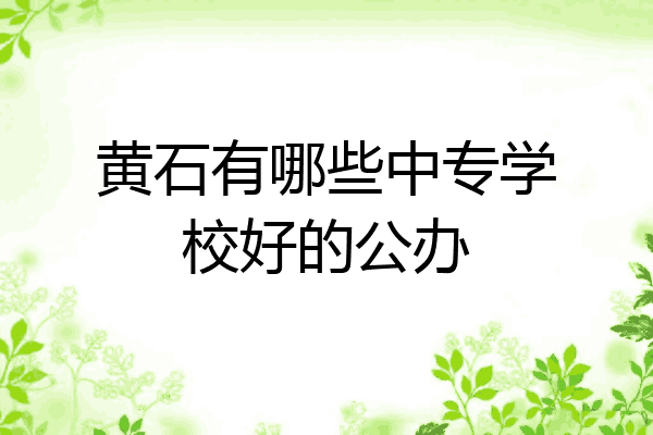 黄石有哪些中专学校好的公办
