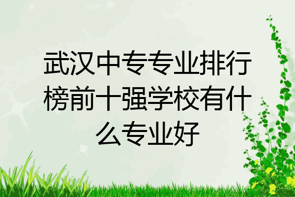 武汉中专专业排行榜前十强学校有什么专业好